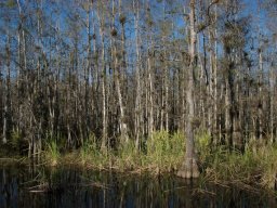 Florida_2007-2008-015